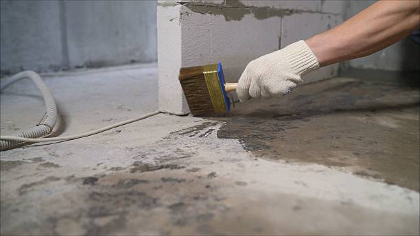 SJ Waterproofing Pros Waterproofing coverage map for Brentwood, MD and surrounding area